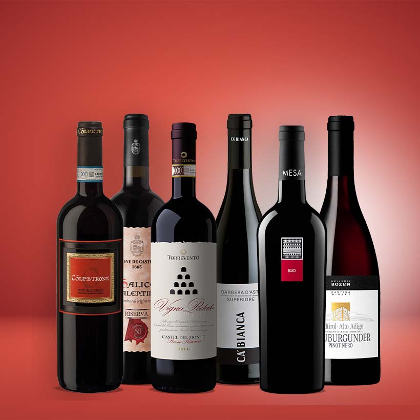 Vinolisa Selezione Wald & Wild Feinschmecker Herbstweinpaket